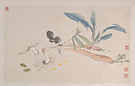 王雪涛花鸟画册页