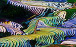 梯田