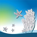 海藻