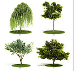 植物3dmax模型汇