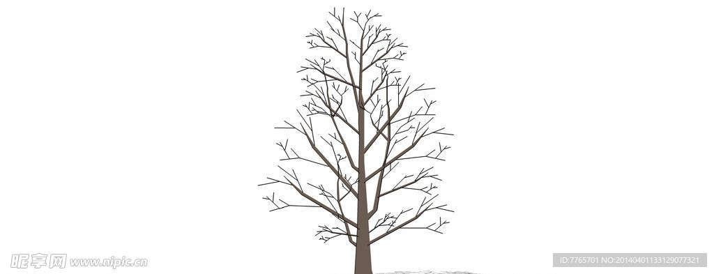 冬树