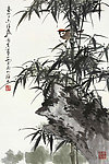 翠竹小鸟