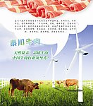 牛肉海报