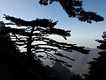 黄山图片