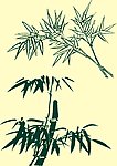 国画竹子