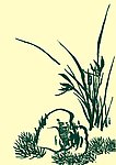 国画兰草山石