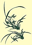 国画兰草