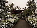 鹤鸣洲
