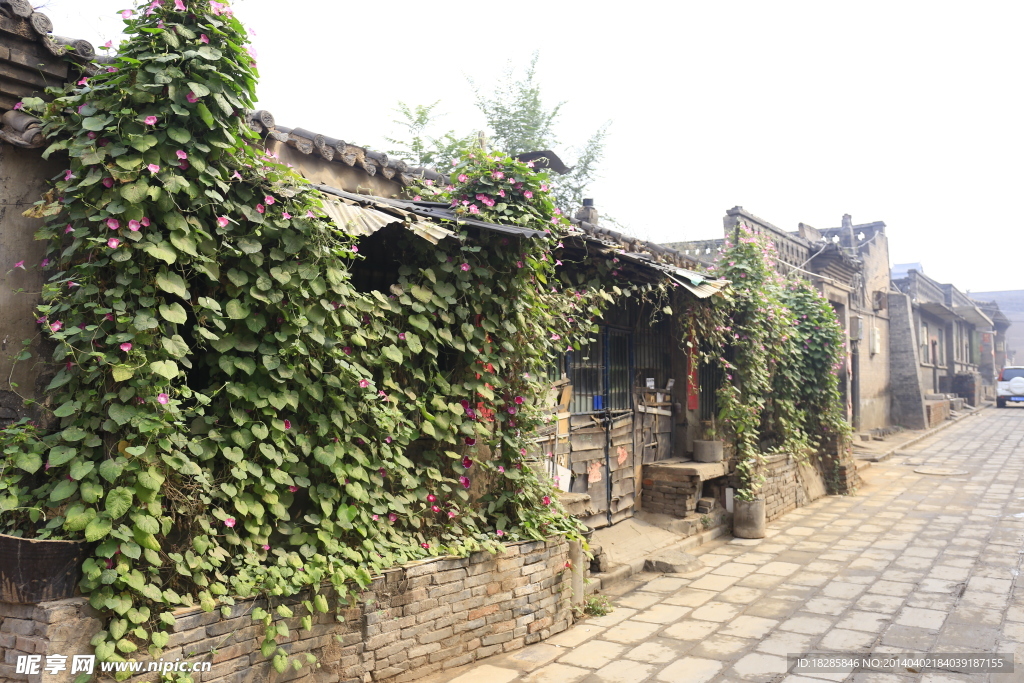 胡同