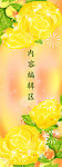 黄色背景