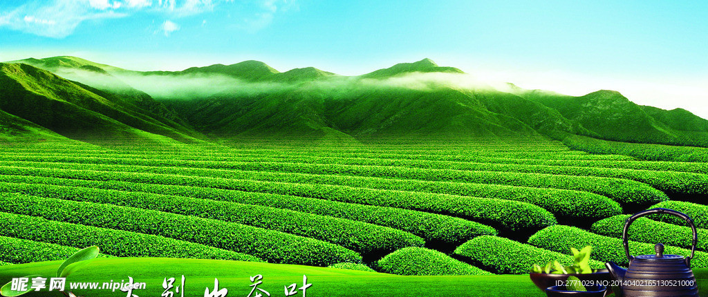 茶艺