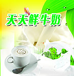 鲜牛奶海报