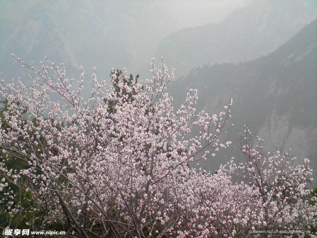 华山