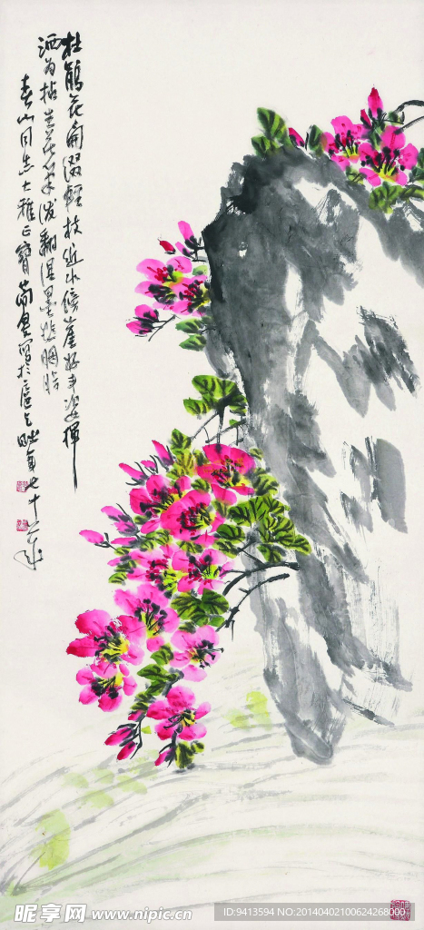 杜鹃花