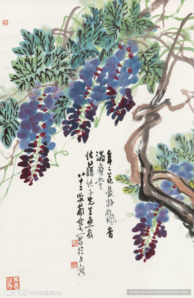 紫藤图