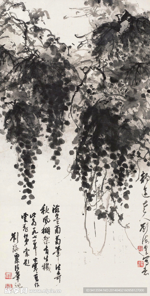葡萄