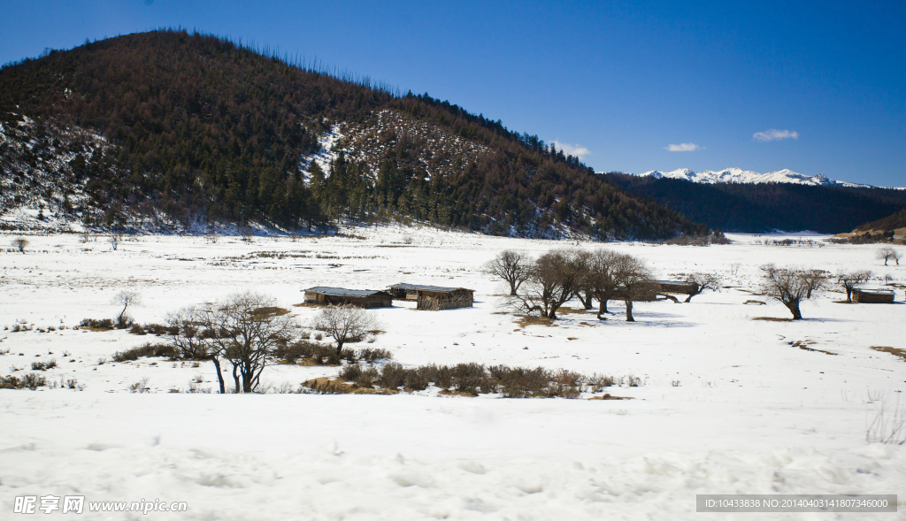 香格里拉普达措雪景