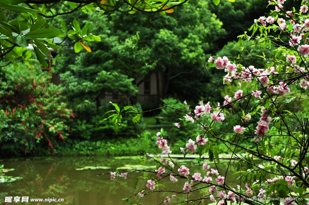 幽静小湖