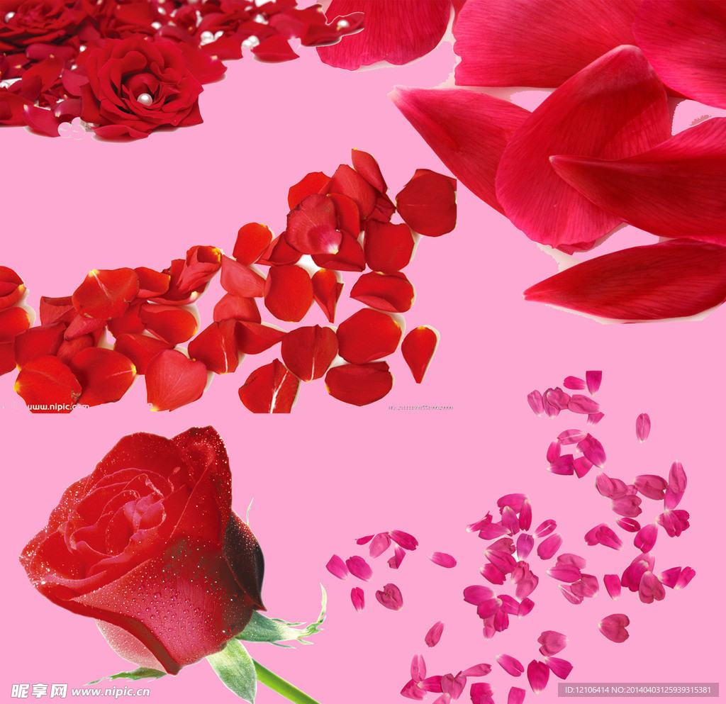 花瓣