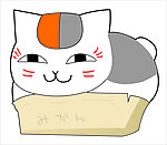 猫咪