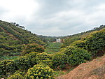 乡村景色