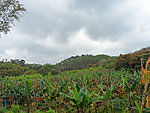 乡村景色