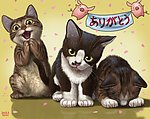 手绘 猫