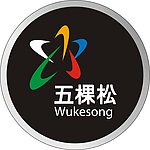 五棵松图标