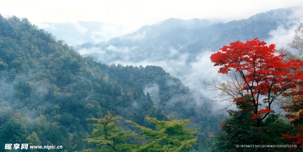 自然风景
