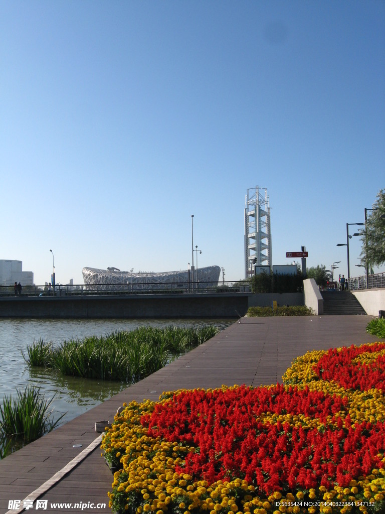 鸟巢风景