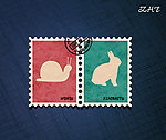 动物邮票 邮戳