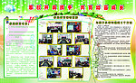 小学实践活动