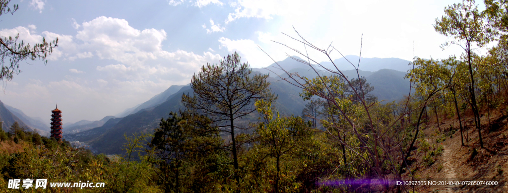 林区风景