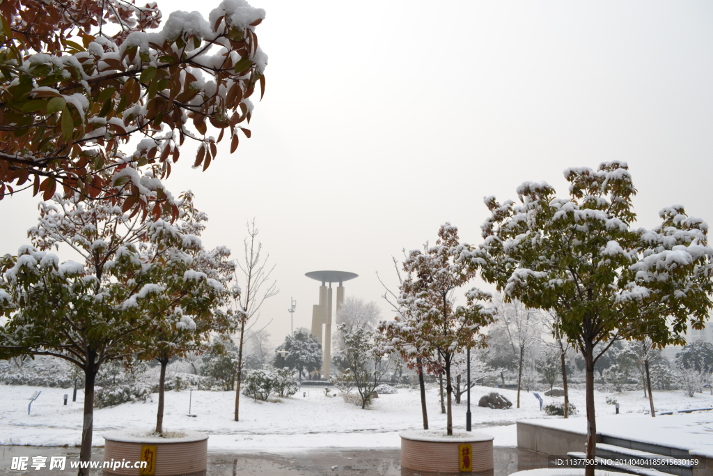 雪景