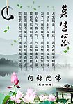 莫生气 荷花