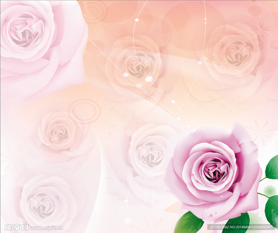 玫瑰花