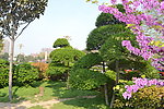 公园