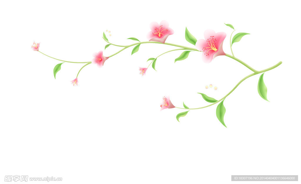 花朵