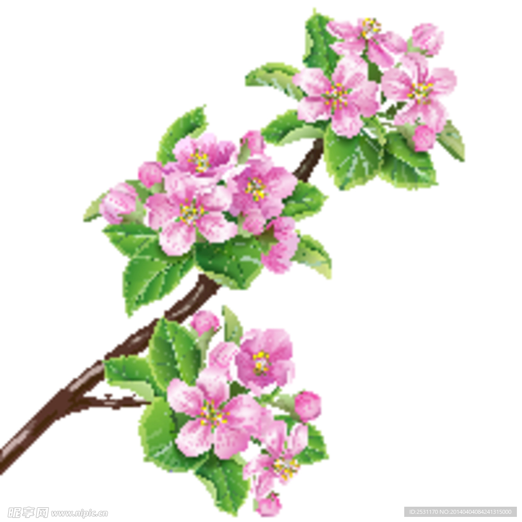 桃花