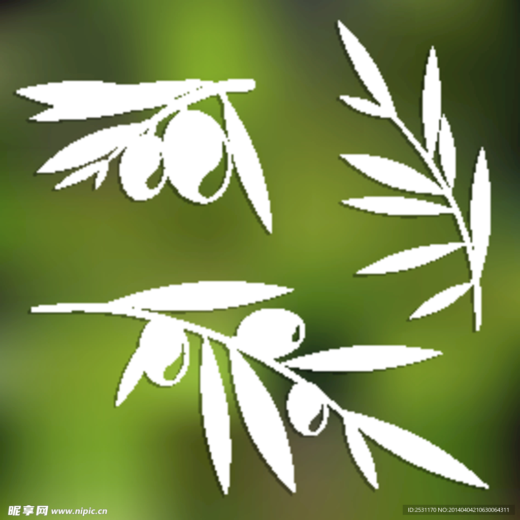 橄榄