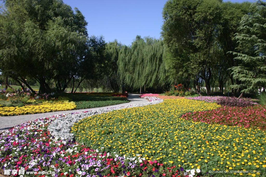 鲜花组合