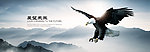 网站BANNER