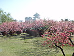 莲花池公园风光
