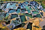 蛇蟠岛千宕映山红