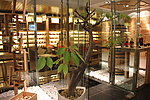 酒店一角