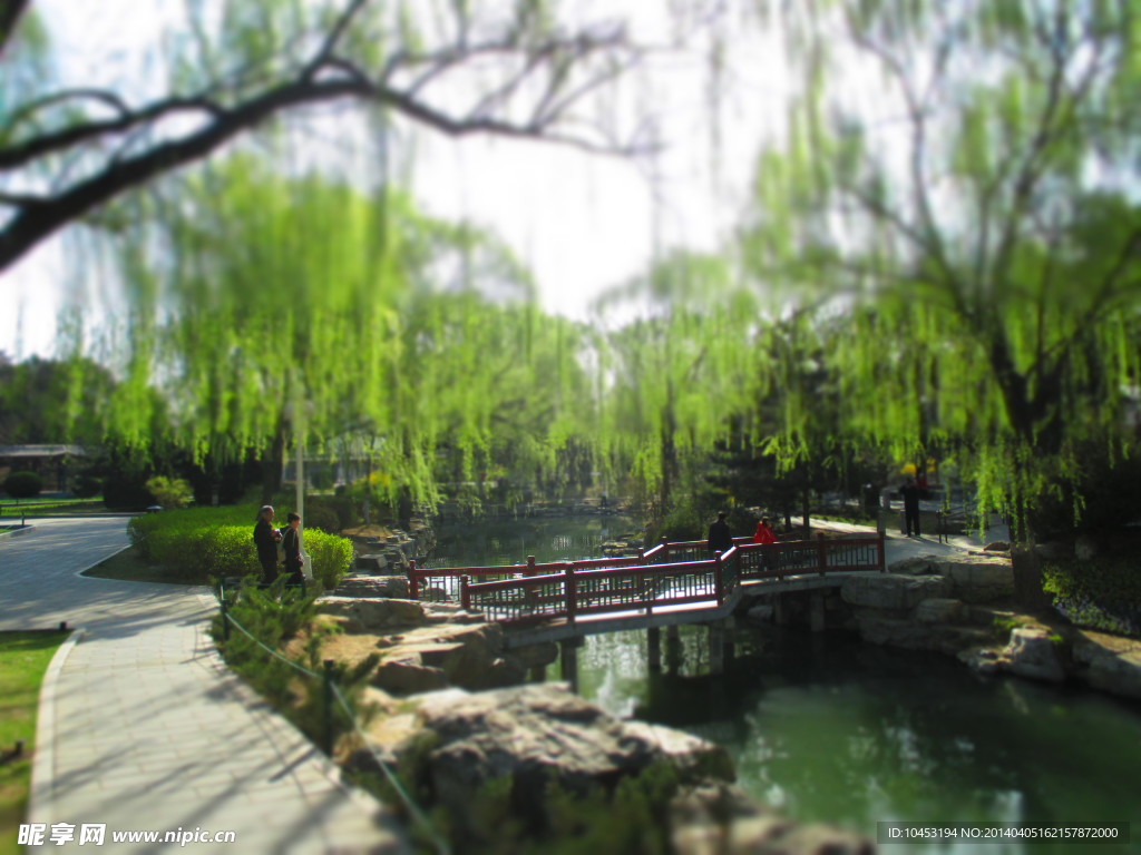 园林风景