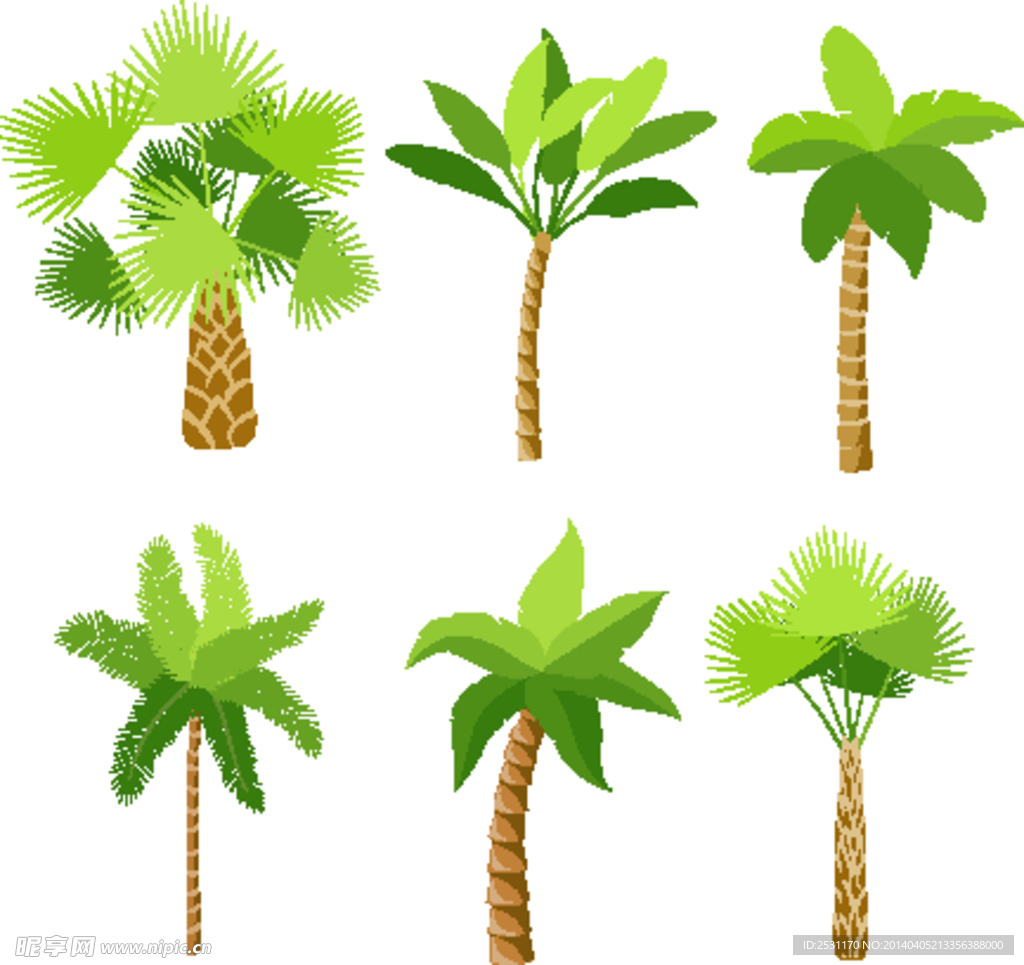 椰树