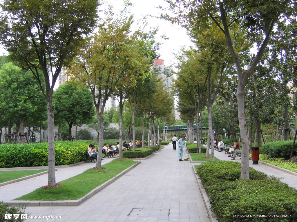 广场休闲绿地林荫路