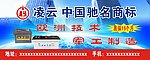 汽车电瓶