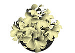 鲜花模型